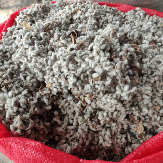 Banola Sack(Bori) 35KG